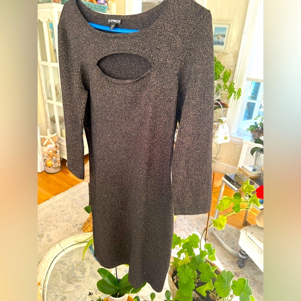 Express Shimmering Black/gold Long Sleeve Dress